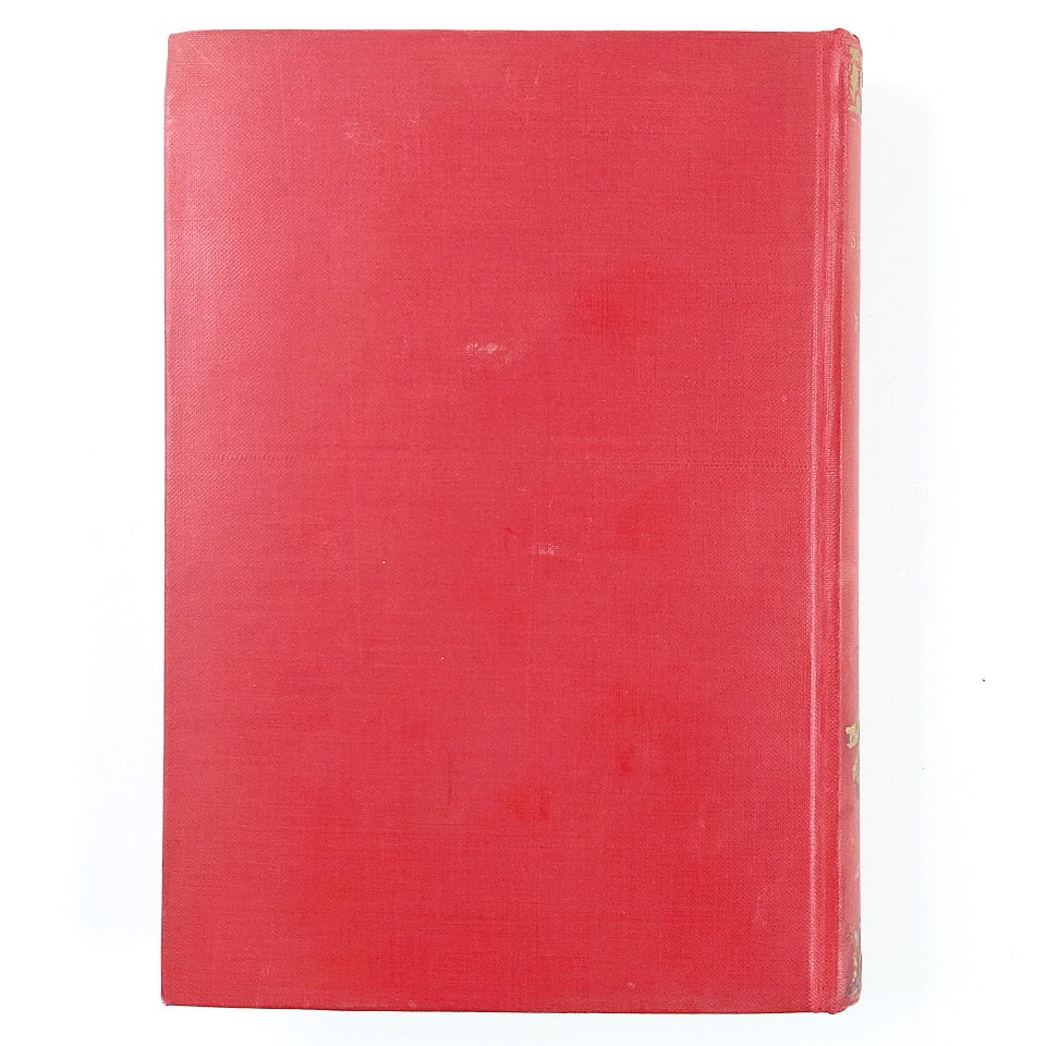 C. Georg Starbäck: Testamentti - Image 2