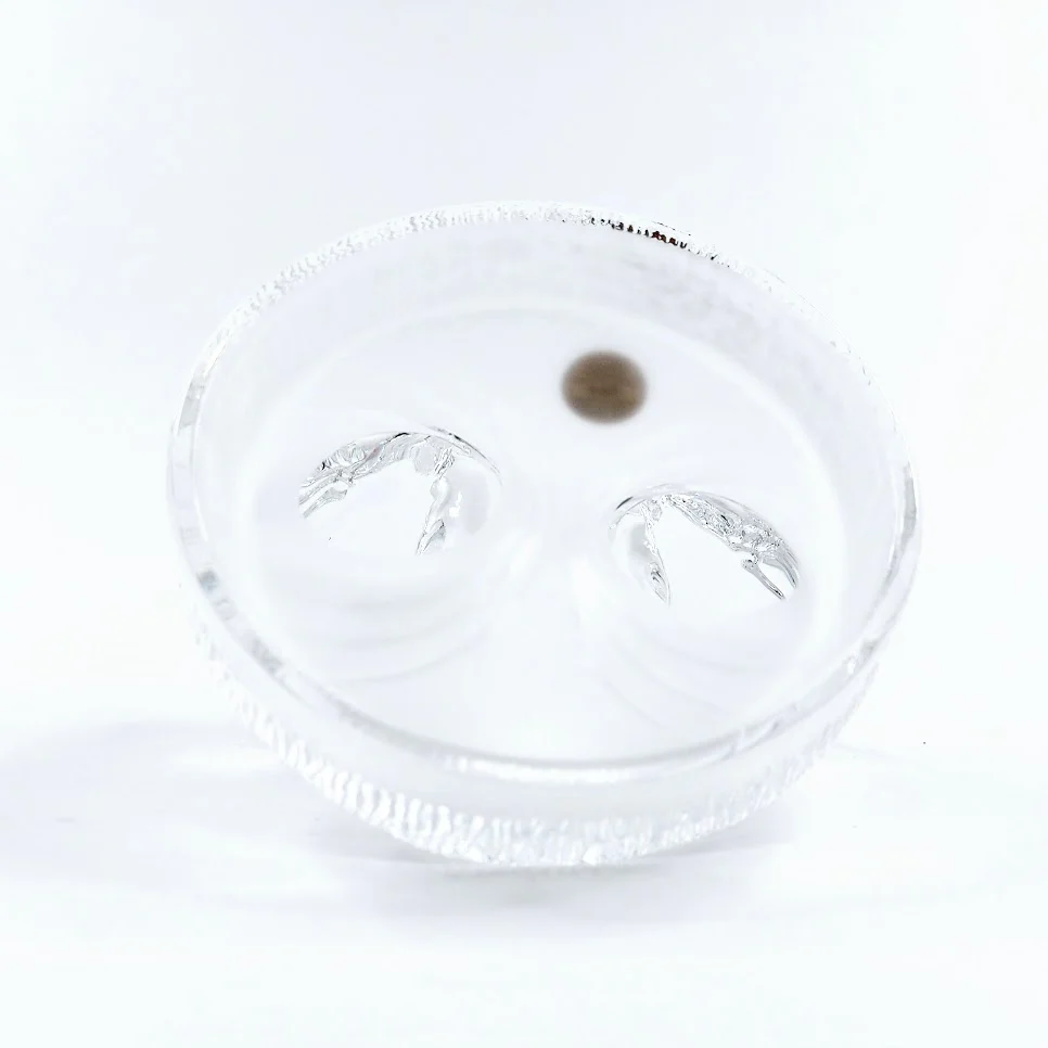 Royal Crystal Rock joutsenet kristallifiguuri - Image 4